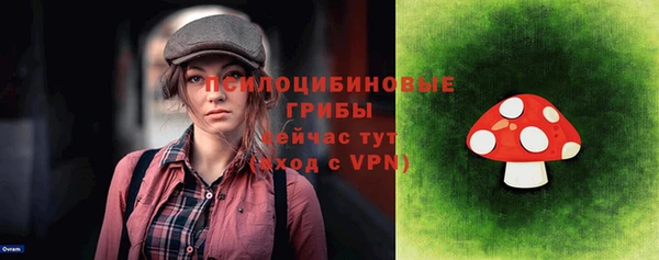 шишки Лиски
