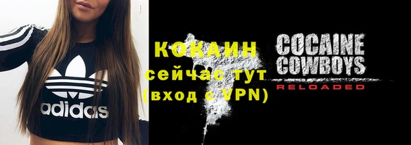 шишки Лиски