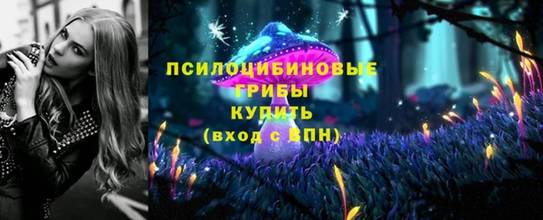 шишки Лиски